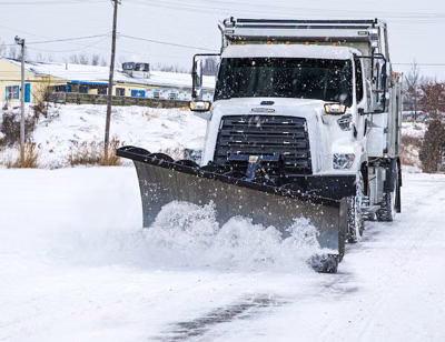 2025 Buyers Products Plow Oneway-R 10ftX30/48in FT CS SWVL (1662113202) 7